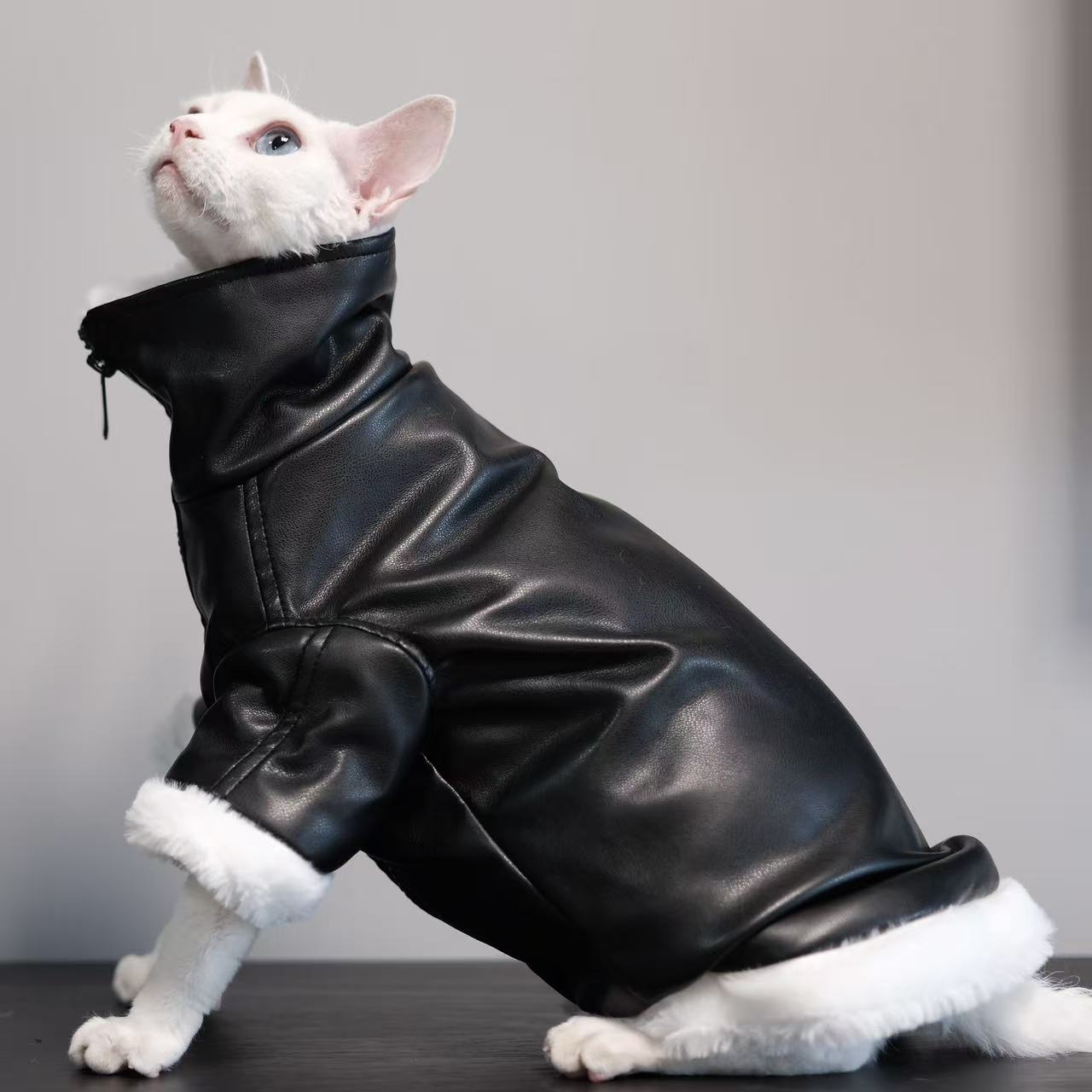 Skadi — Manteau Viking pour Chat Sphynx