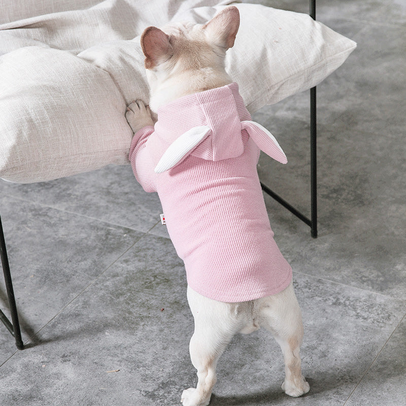Ullr — Pull Tricot pour Chien