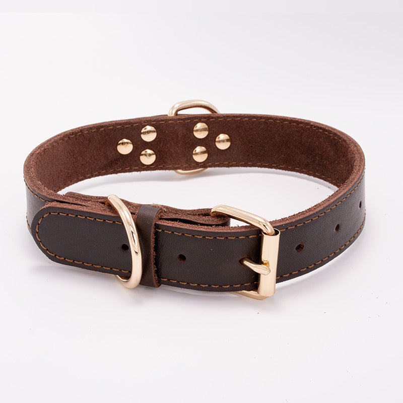 Fenrir — Collier Résistant pour Chien