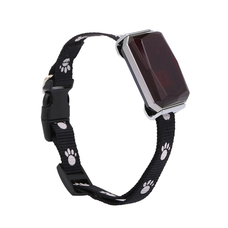 Yggdrasil — Collier GPS Connecté pour Animal