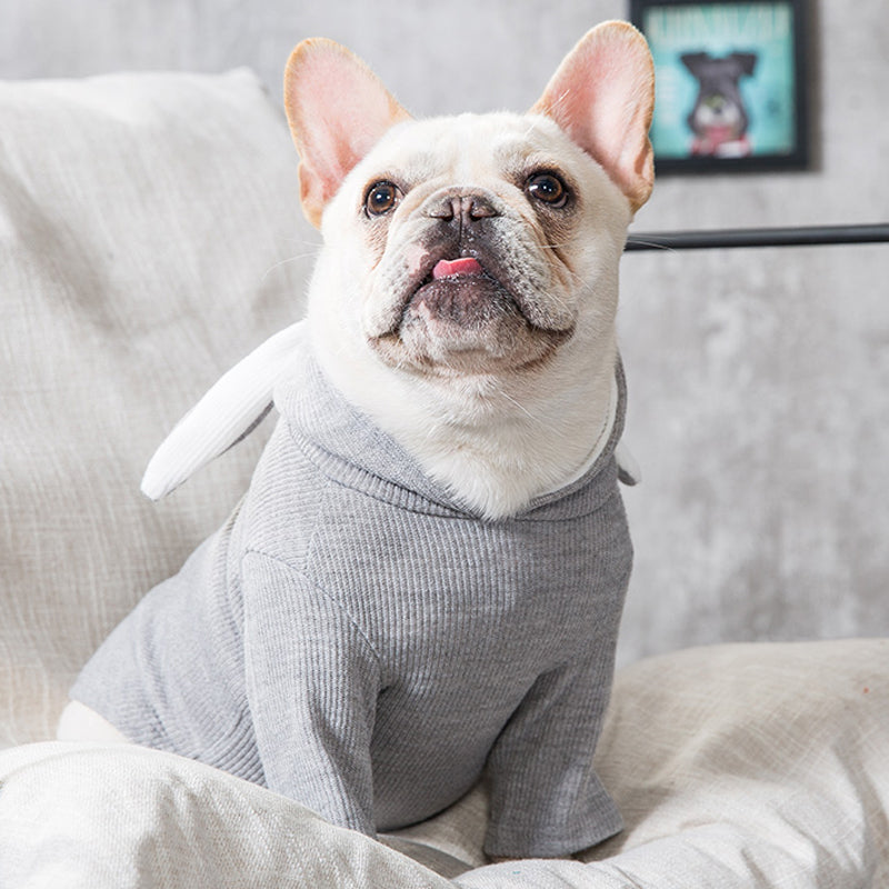 Ullr — Pull Tricot pour Chien