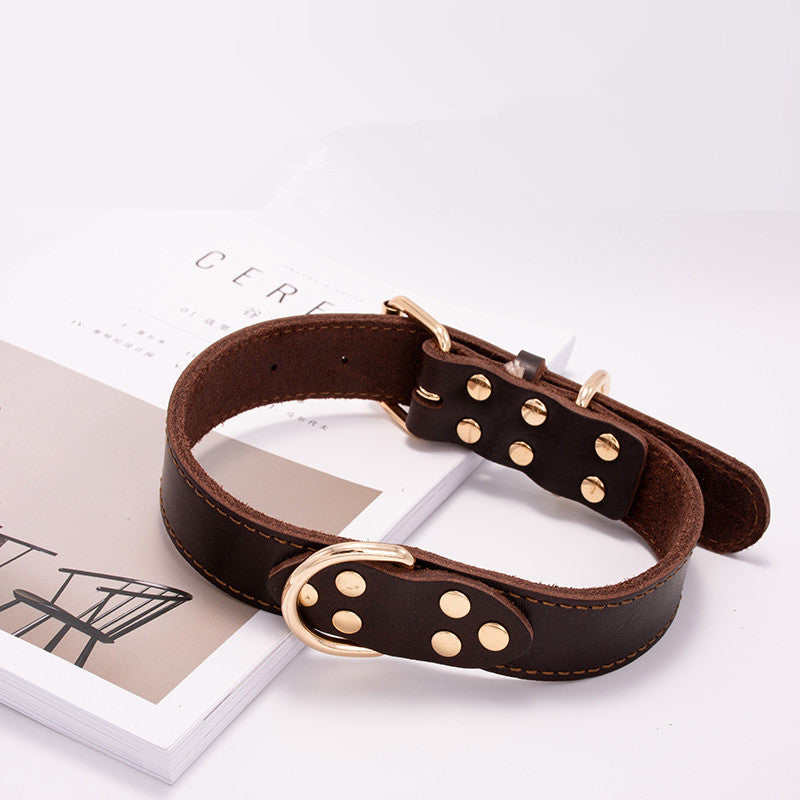 Fenrir — Collier Résistant pour Chien