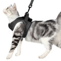 Hati — Harnais Veste avec Laisse pour Chat