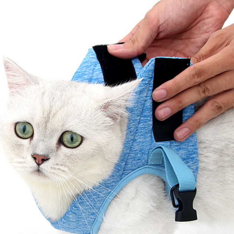 Hati — Harnais Veste avec Laisse pour Chat