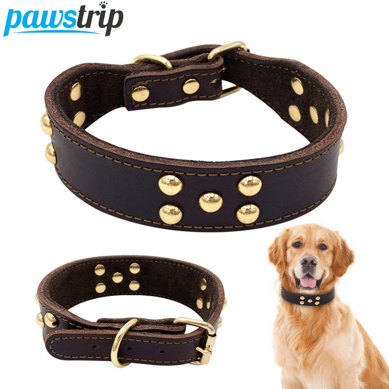 Fenrir — Collier Résistant pour Chien