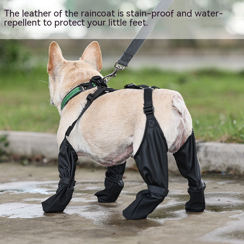 Grípr — Chaussures Antidérapantes pour Chien