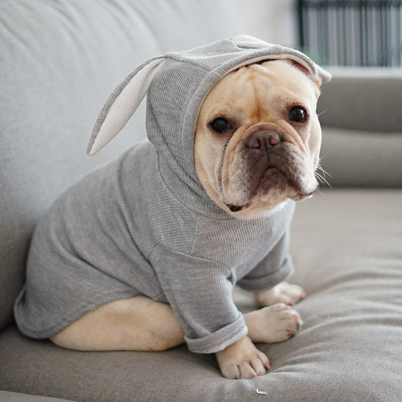 Ullr — Pull Tricot pour Chien