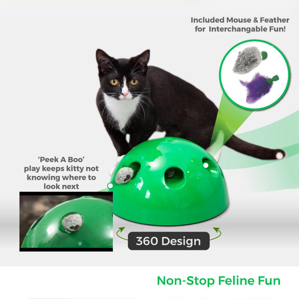 Ragnarök — Griffoir Interactif pour Chat
