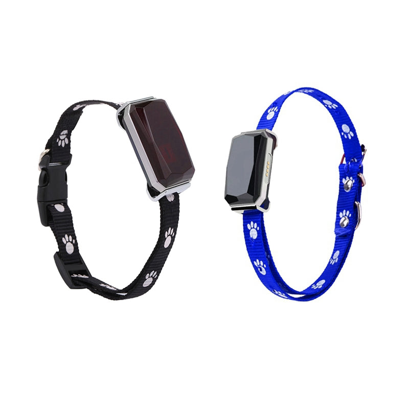 Yggdrasil — Collier GPS Connecté pour Animal