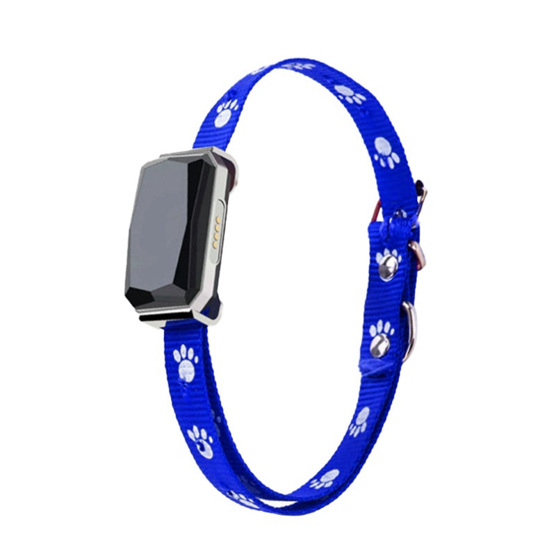 Yggdrasil — Collier GPS Connecté pour Animal