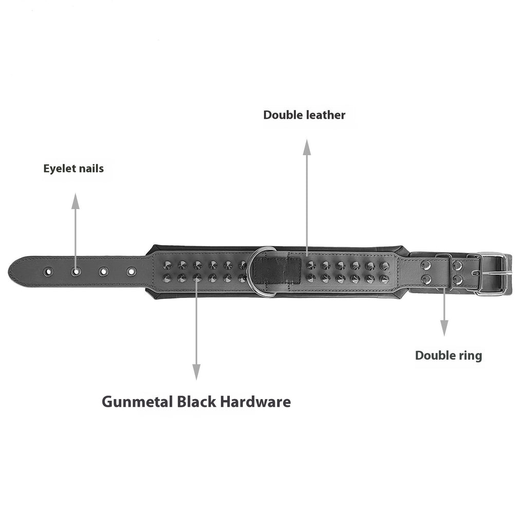 Odin — Collier Premium Ajustable pour Chien