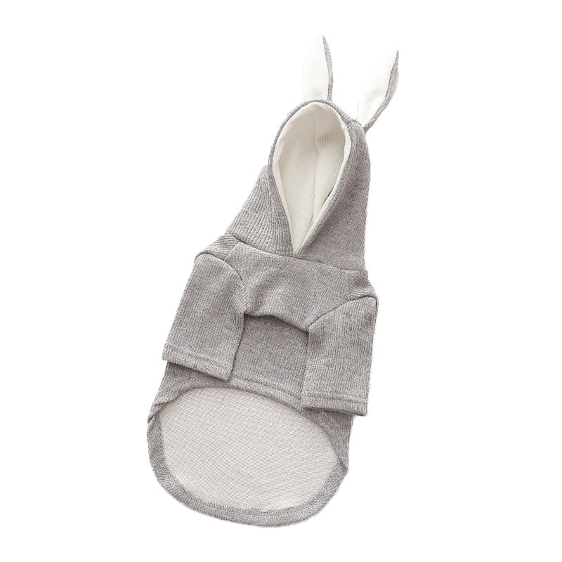 Ullr — Pull Tricot pour Chien