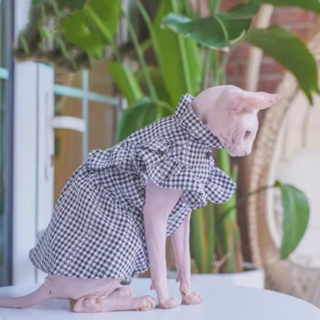 Sól — Robe d'Été Respirante pour Chaton