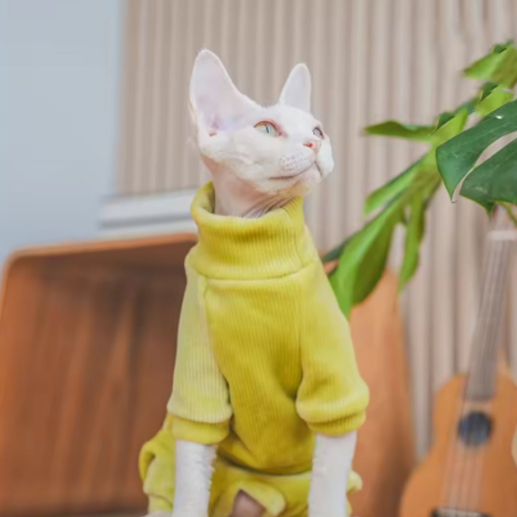 Idunn — Vêtement Polaire pour Chat Hairless