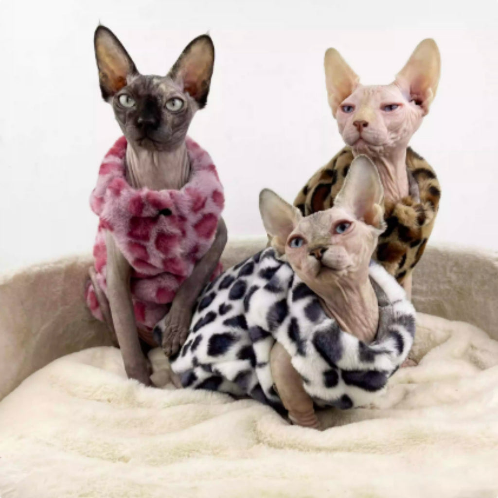 Saga — Manteau Léopard Doublé pour Chat