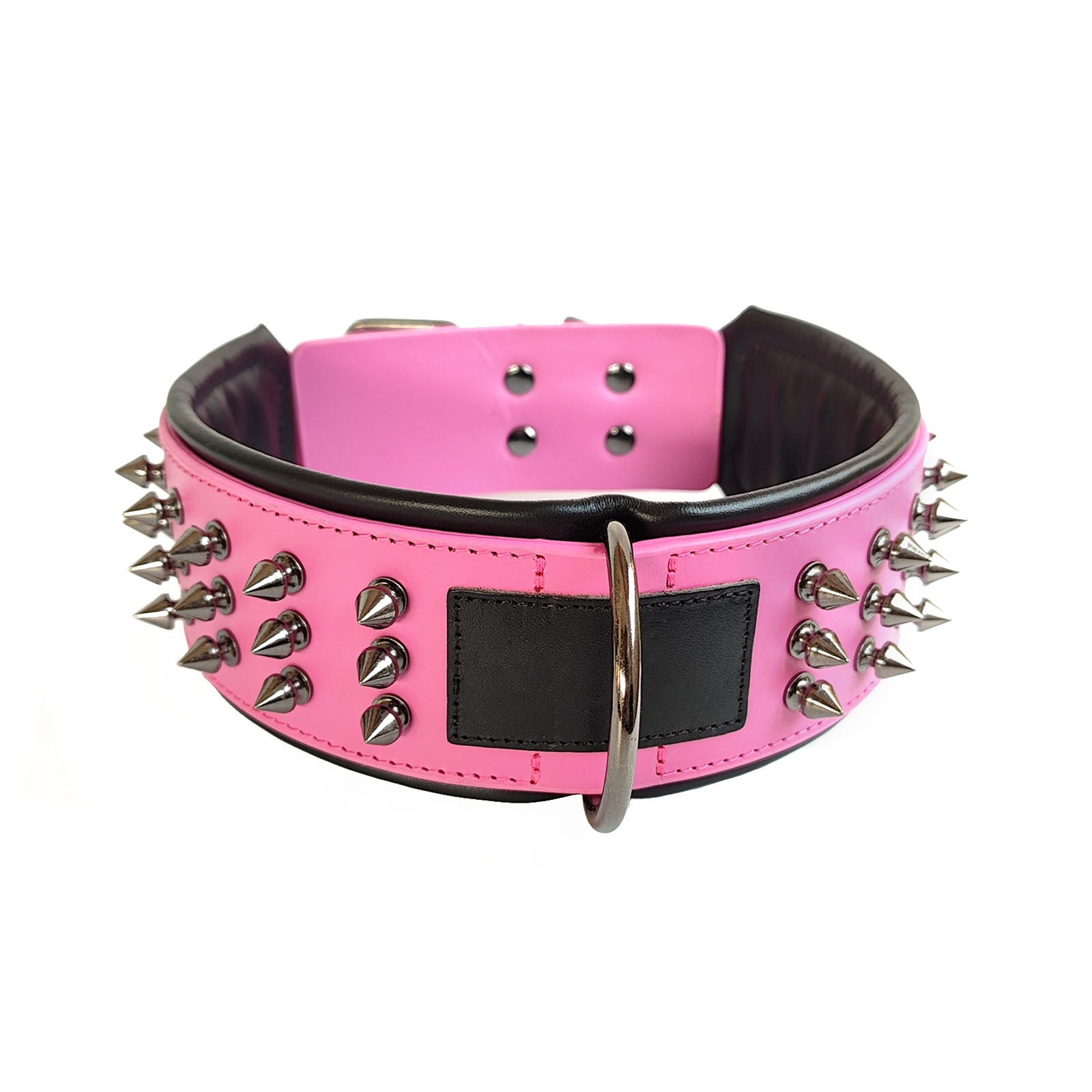 Odin — Collier Premium Ajustable pour Chien