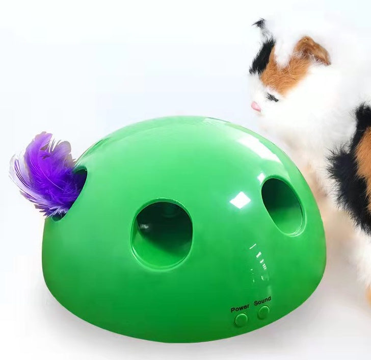 Ragnarök — Griffoir Interactif pour Chat