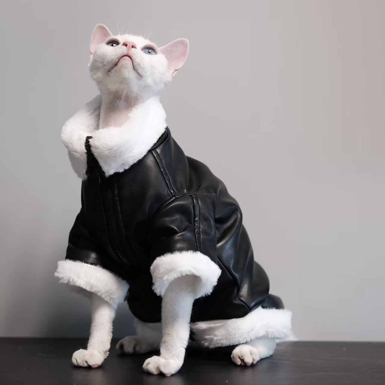 Skadi — Manteau Viking pour Chat Sphynx