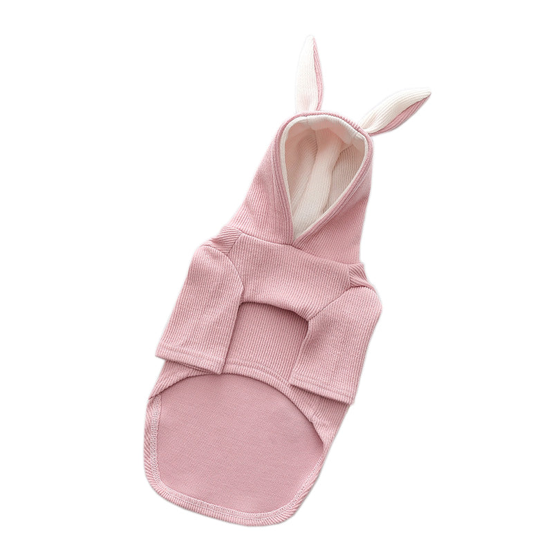 Ullr — Pull Tricot pour Chien