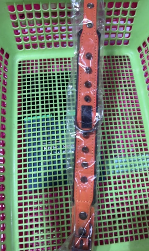 Odin — Collier Premium Ajustable pour Chien