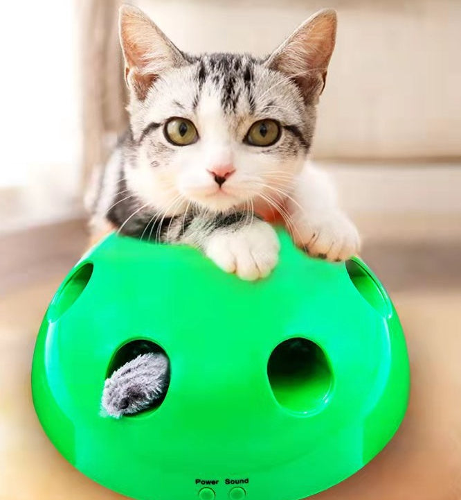 Ragnarök — Griffoir Interactif pour Chat