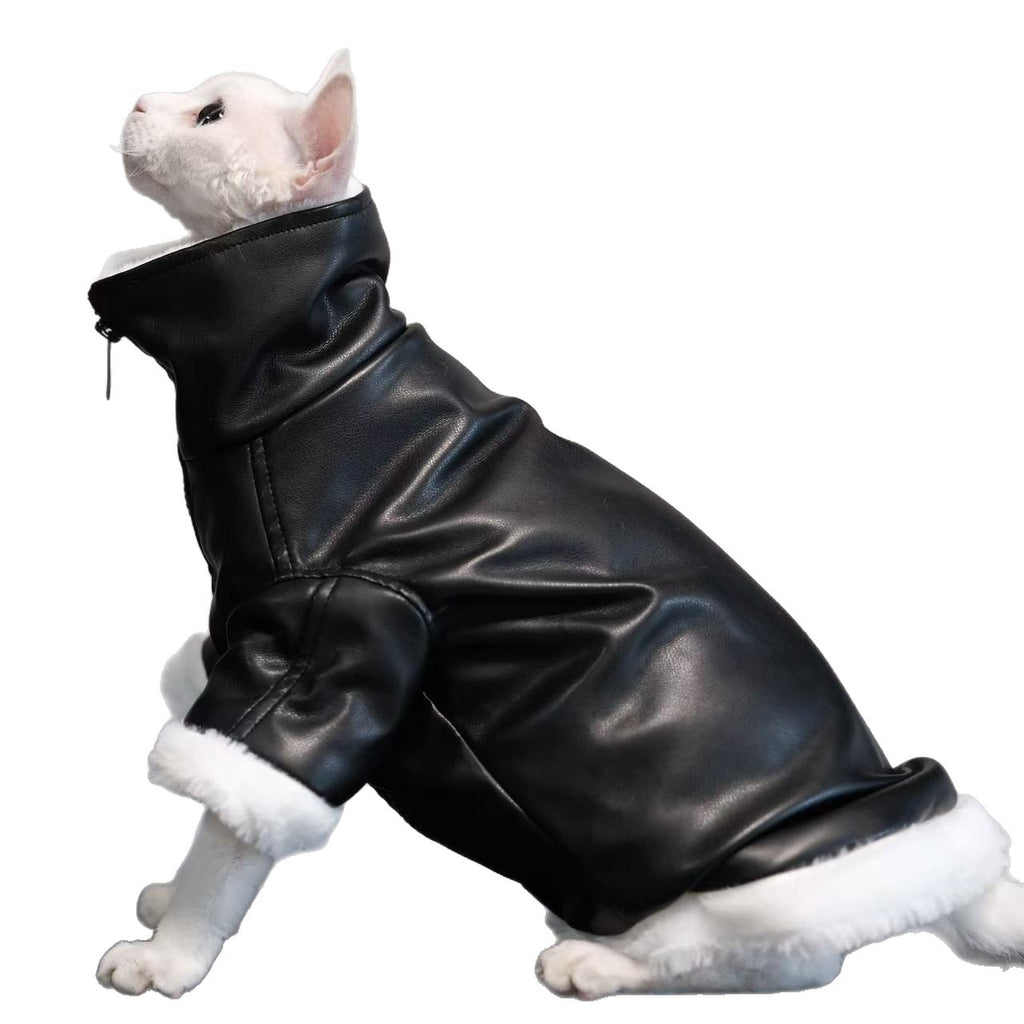 Skadi — Manteau Viking pour Chat Sphynx