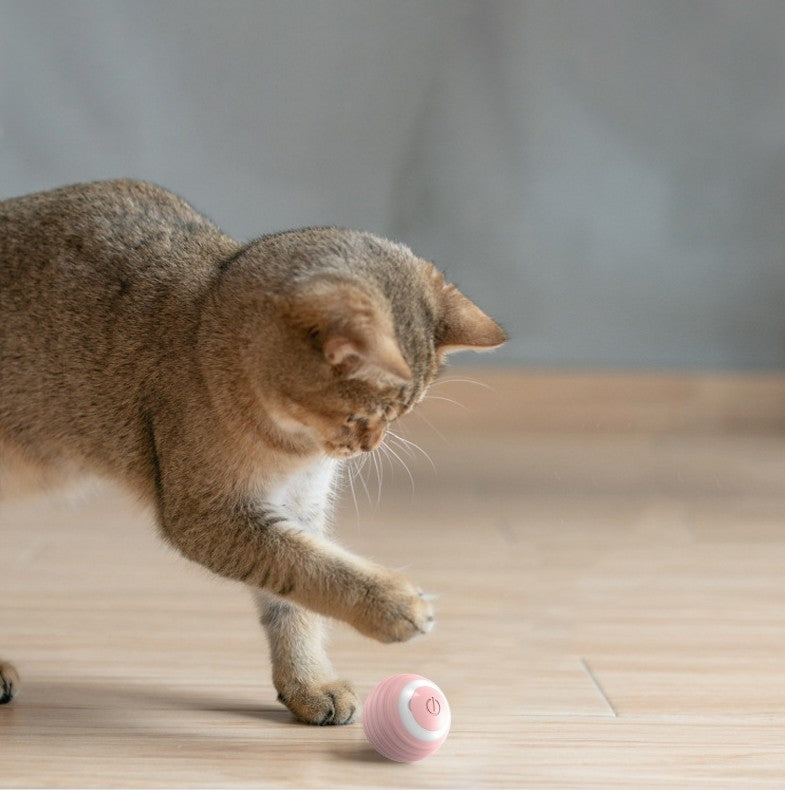 Kváðr — Balle Interactive Rechargeable pour Chat