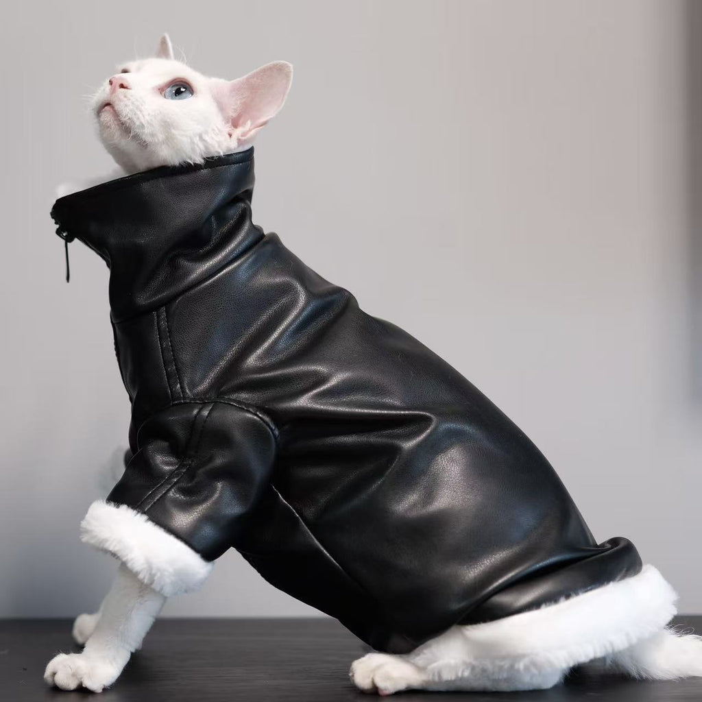 Skadi — Manteau Viking pour Chat Sphynx