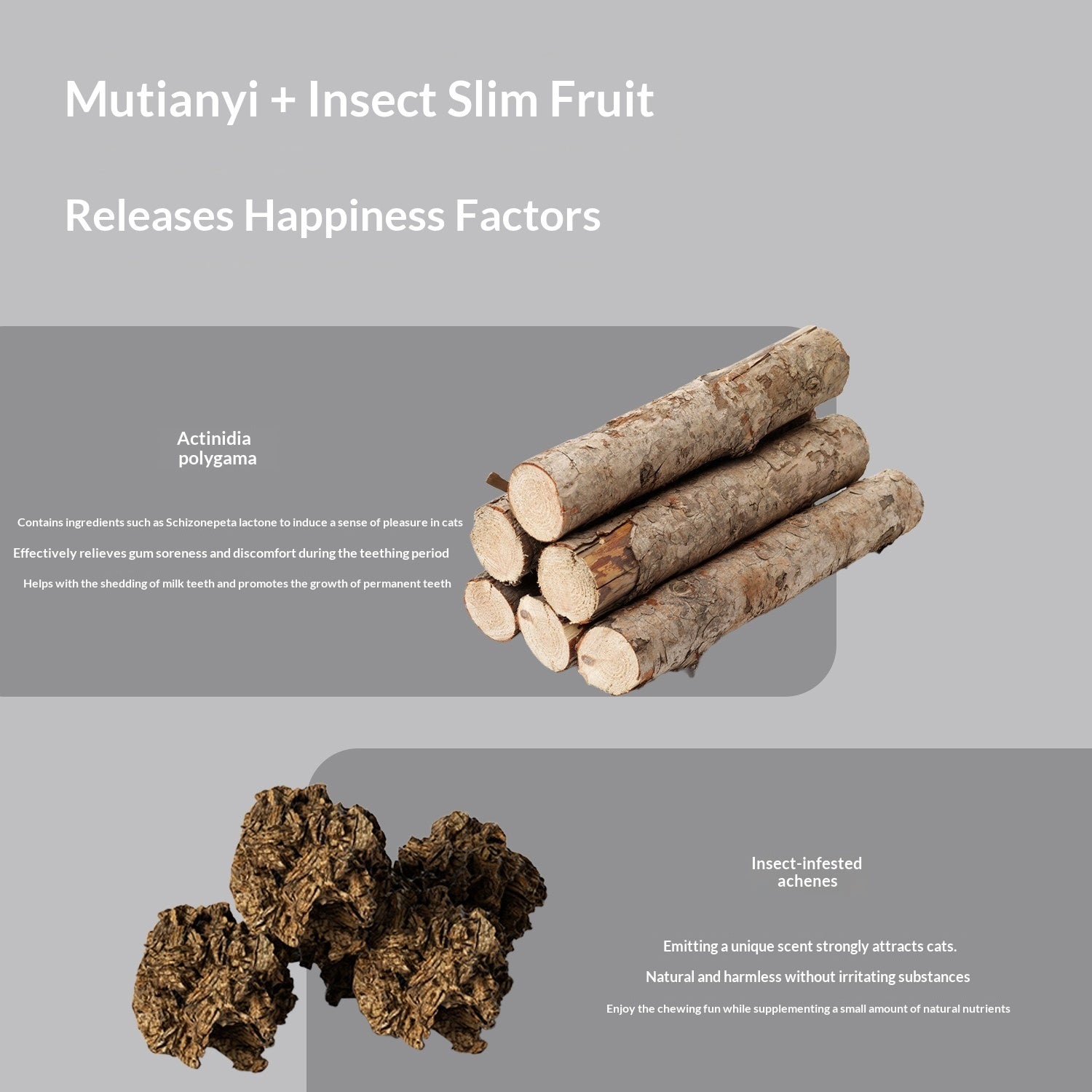 Lufr — Jouet Luffa Naturel pour Chat