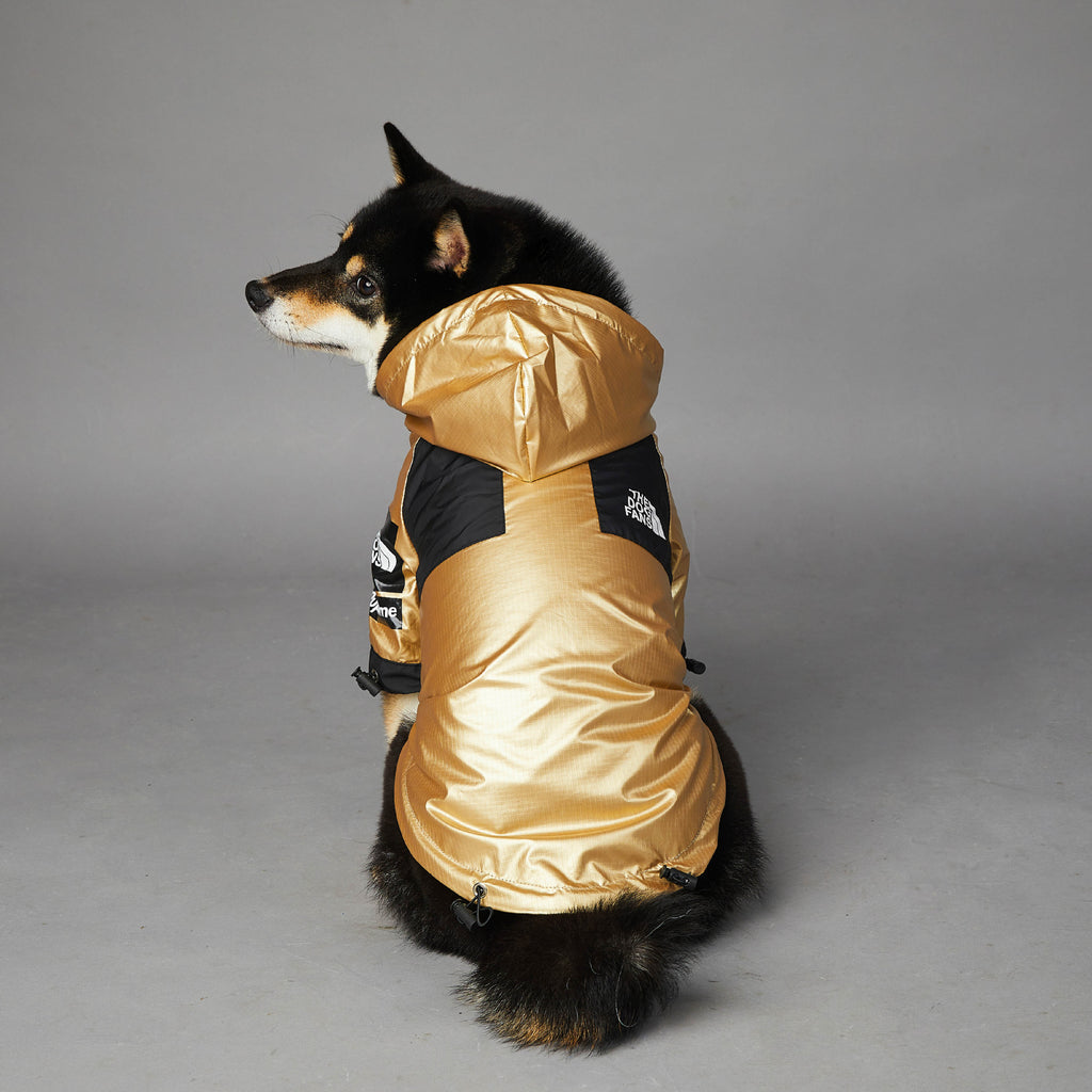 Austr — Imperméable Doré pour Grand Chien