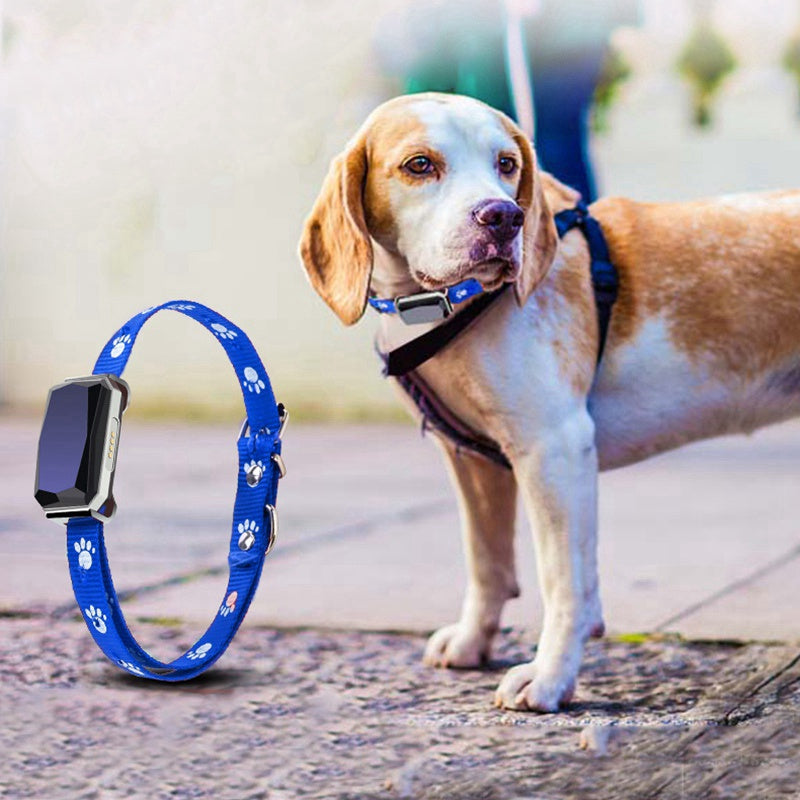 Yggdrasil — Collier GPS Connecté pour Animal