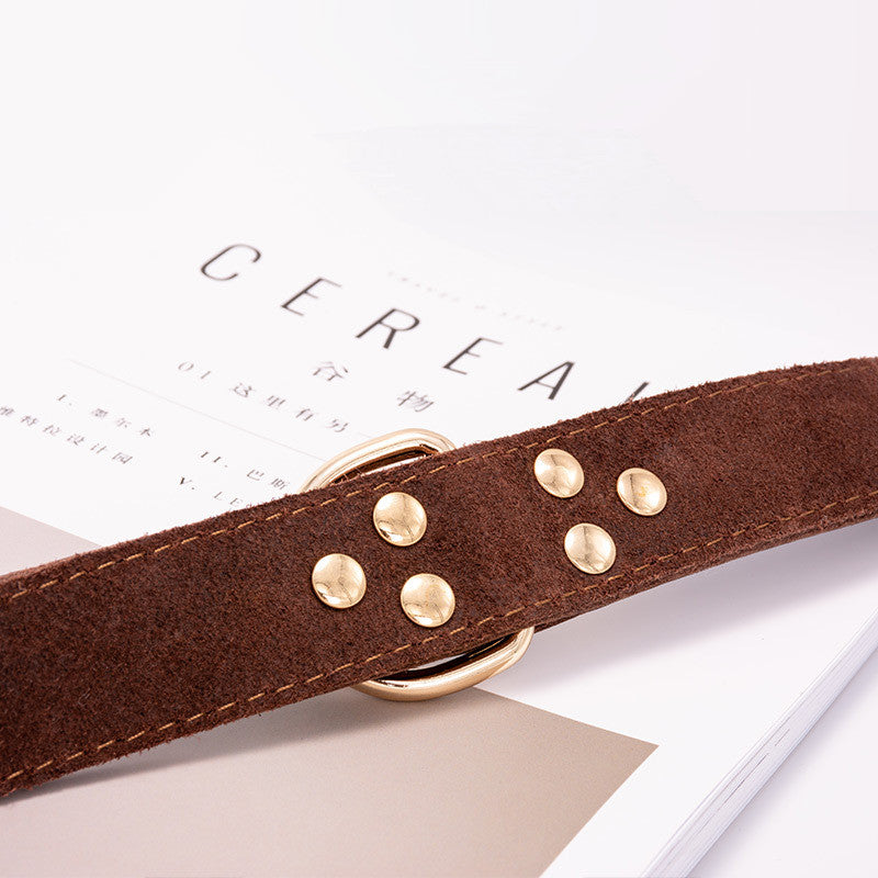 Fenrir — Collier Résistant pour Chien