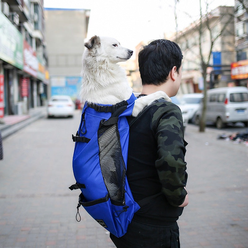 Bjórr — Sac à Dos de Transport pour Animal