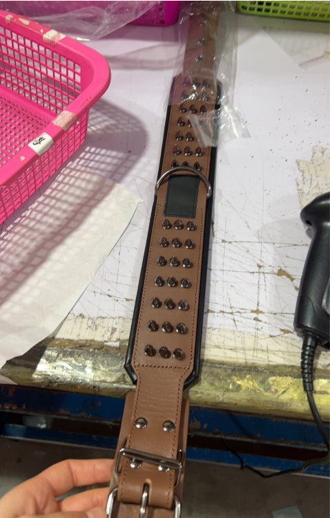 Odin — Collier Premium Ajustable pour Chien