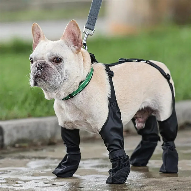 Grípr — Chaussures Antidérapantes pour Chien