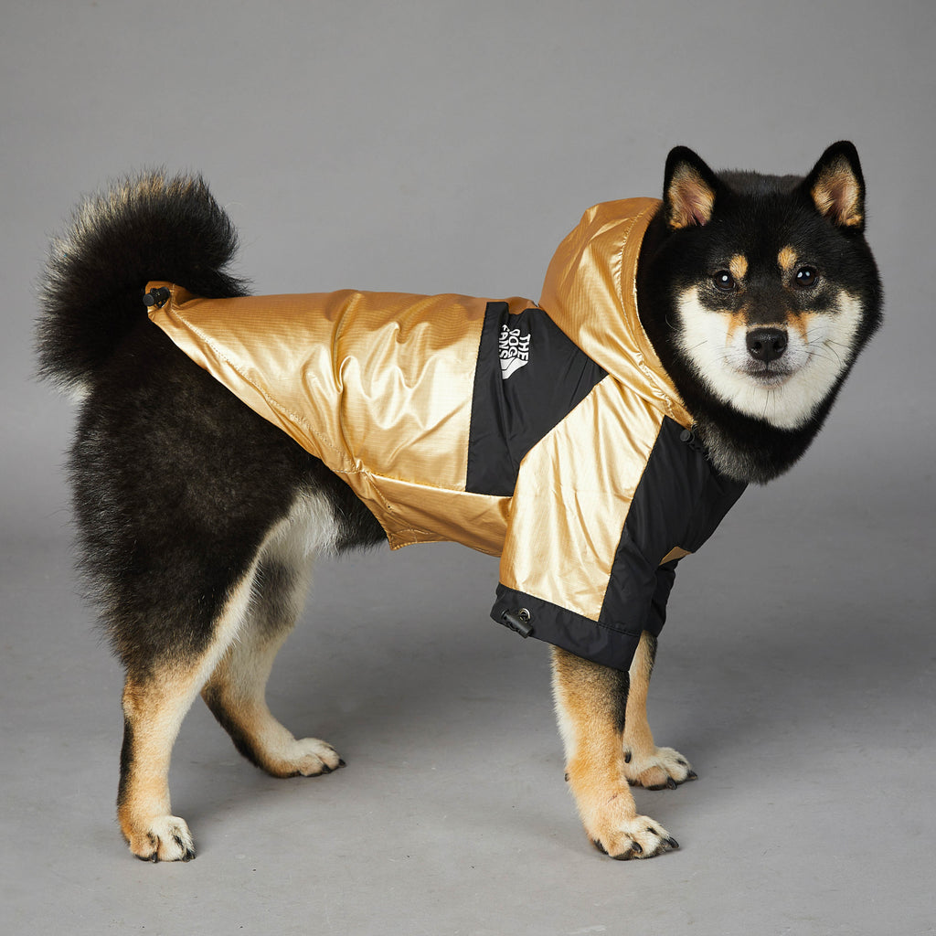Austr — Imperméable Doré pour Grand Chien