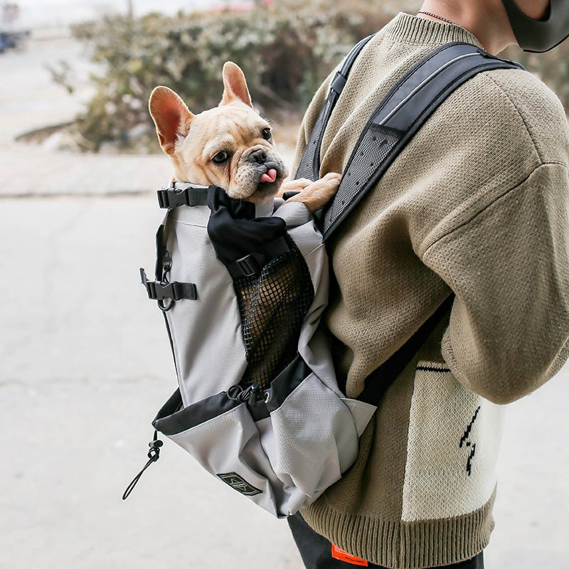 Bjórr — Sac à Dos de Transport pour Animal