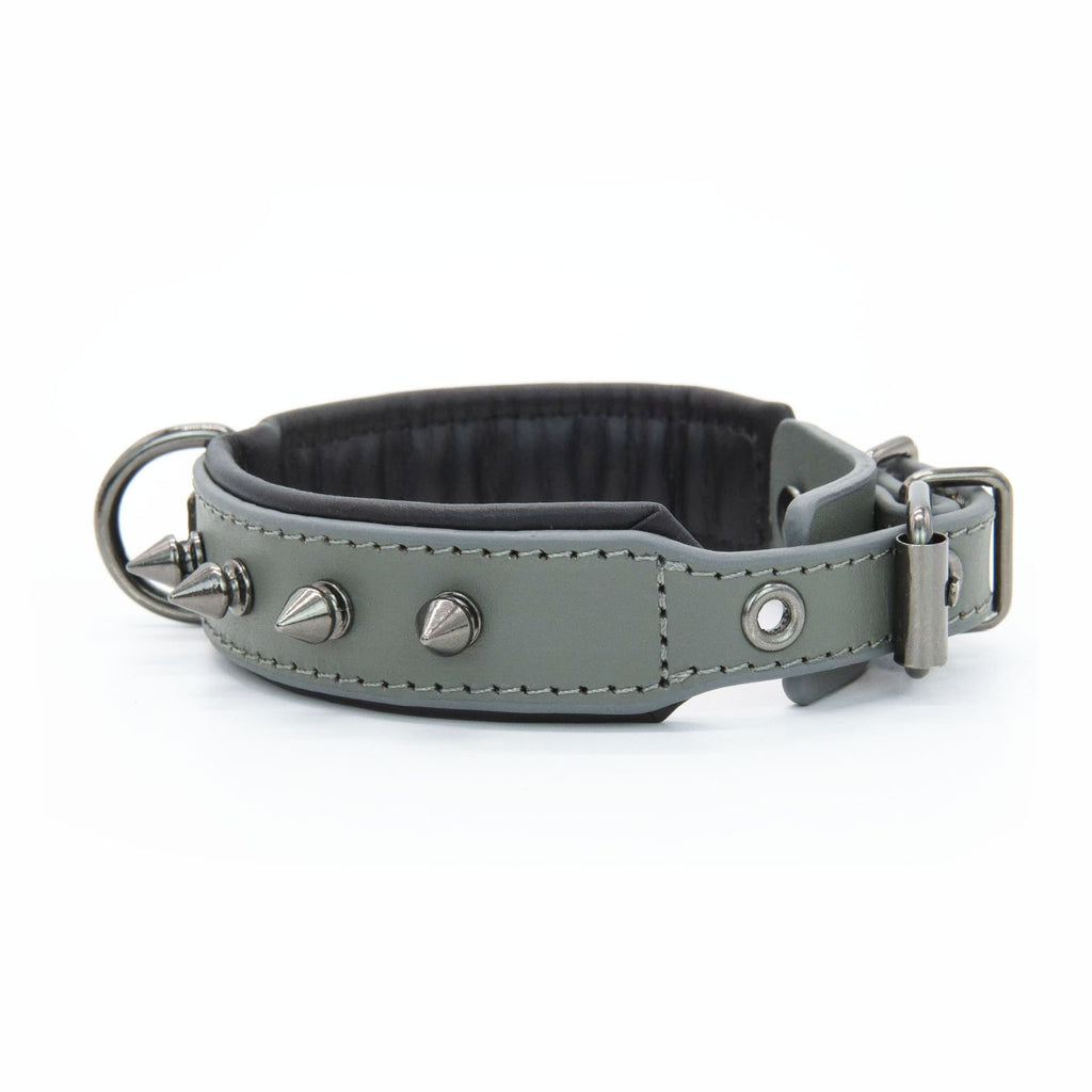 Odin — Collier Premium Ajustable pour Chien
