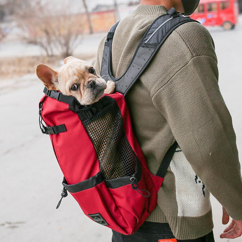 Bjórr — Sac à Dos de Transport pour Animal