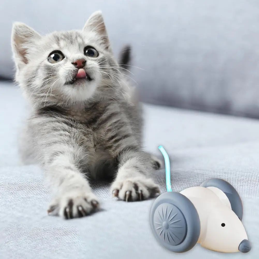 Loki — Souris Électrique Interactive