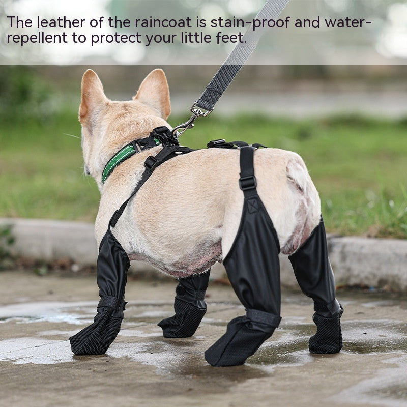 Grípr — Chaussures Antidérapantes pour Chien