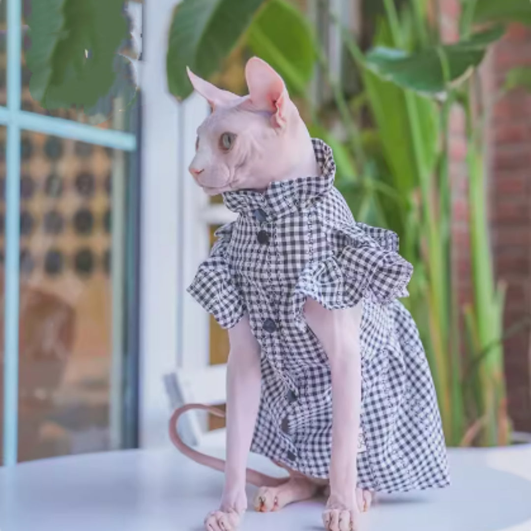Sól — Robe d'Été Respirante pour Chaton
