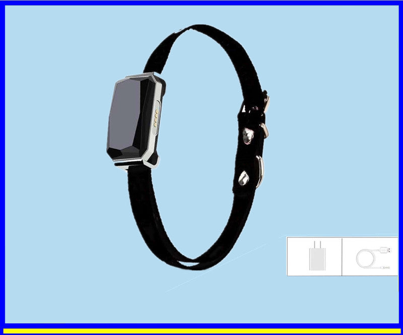 Heimdall — Traceur GPS Anti-Fugue Premium