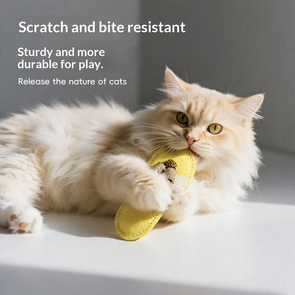 Lufr — Jouet Luffa Naturel pour Chat
