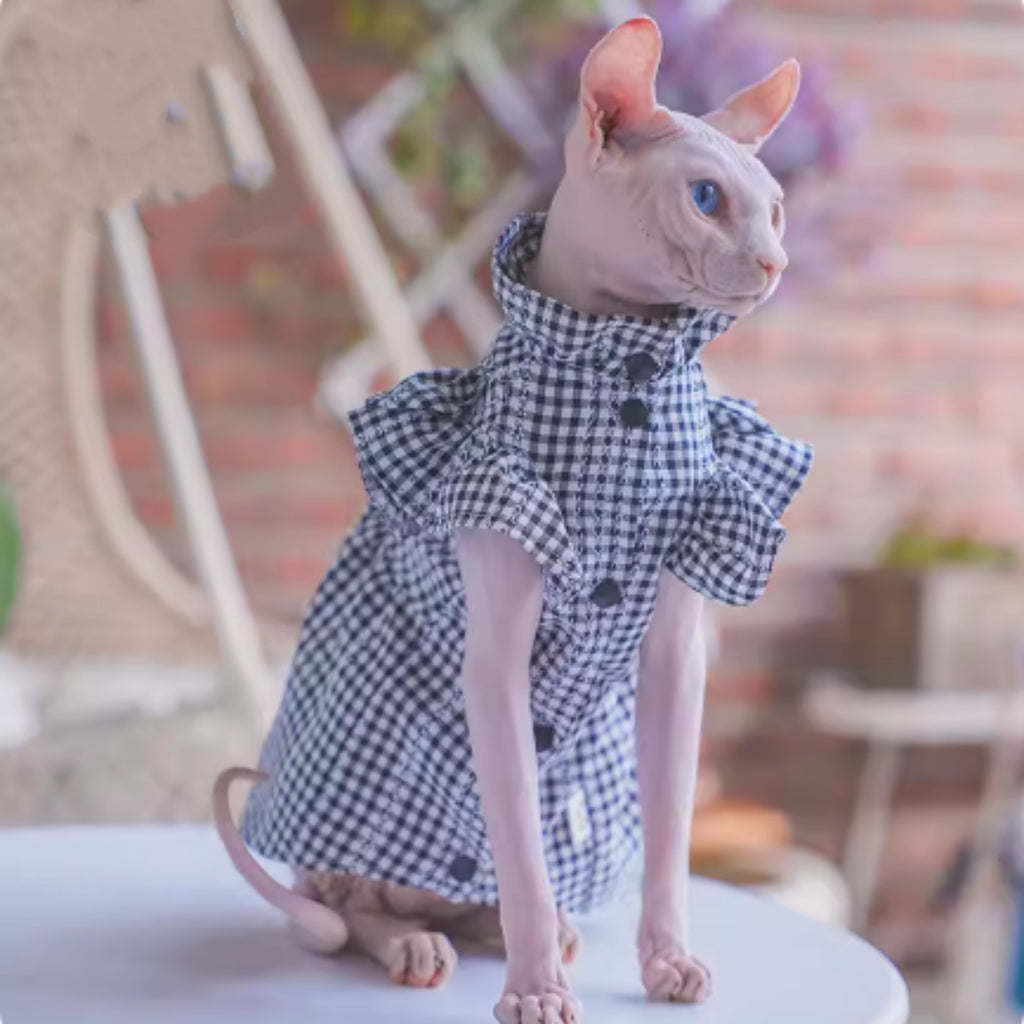 Sól — Robe d'Été Respirante pour Chaton