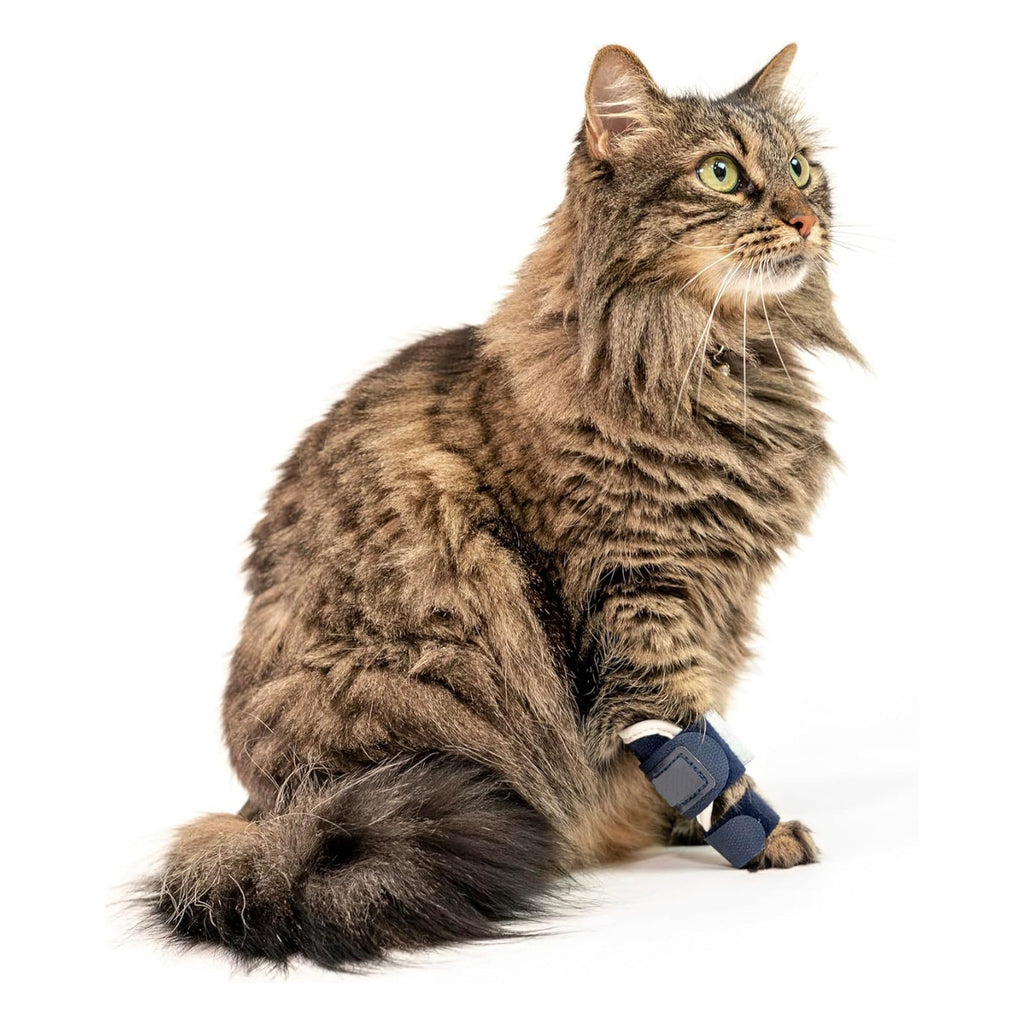 Víðarr — Attelle de Soutien pour Patte de Chat