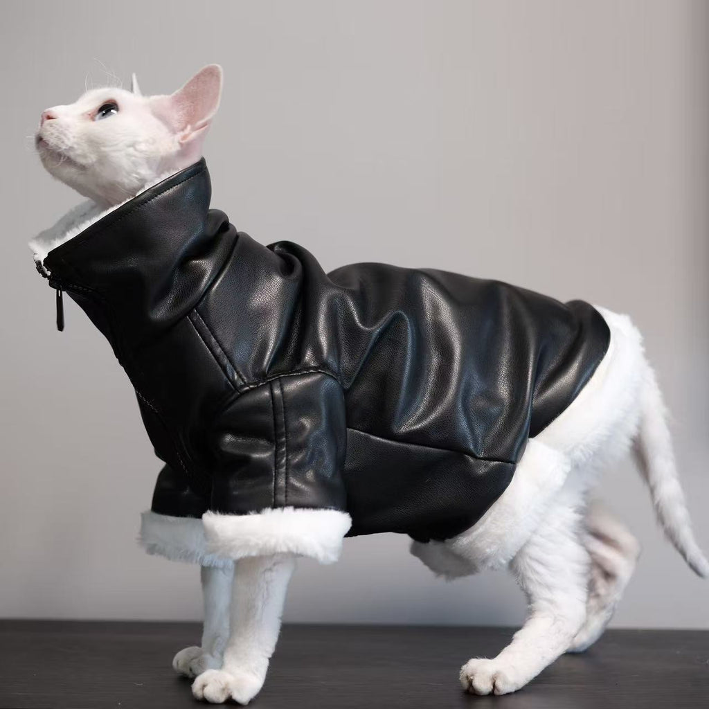 Skadi — Manteau Viking pour Chat Sphynx