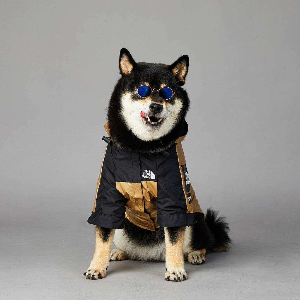 Austr — Imperméable Doré pour Grand Chien