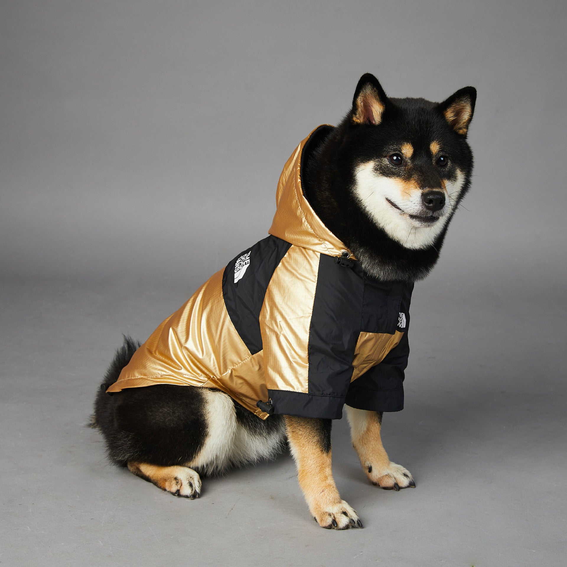 Austr — Imperméable Doré pour Grand Chien