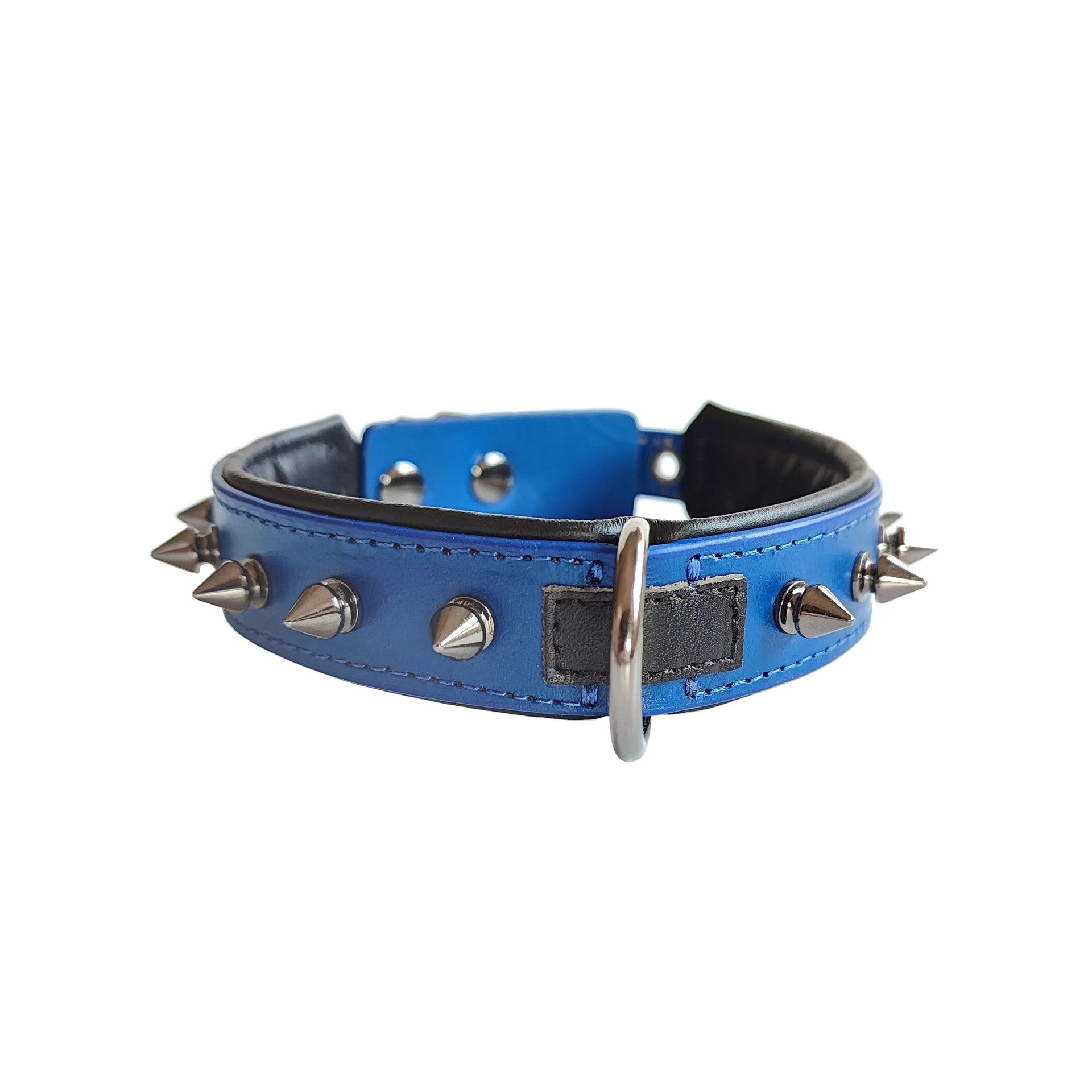 Odin — Collier Premium Ajustable pour Chien